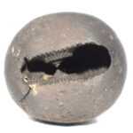 Kapila Shaligram