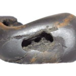 ShriSahaya Shaligram