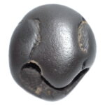 PundariKaksha Shaligram