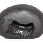 Gadadhara Shaligram
