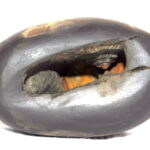 Vijaya Rama Shaligram
