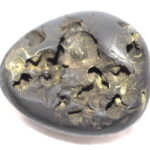 Ananta Shaligram