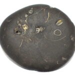 Ananta Shaligram