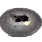 Syamantaka Hari Shaligram