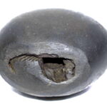 Rukmani Krishna Shaligram