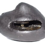 Narayana Shaligram / Keshihantru Narayana Shaligram