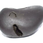 Vira Rama Shaligram