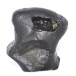 Taarksya Shaligram / Garuda Murti Shaligram