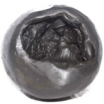 Kapila Narsimha Shaligram