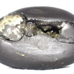Laxmi Gopala Shaligram