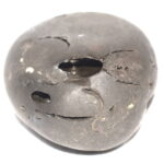 Ananta Shaligram
