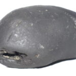 Matsya Shaligram