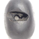 DashakanthakulAntaka Rama Shaligram