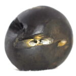 Ananta Shaligram