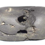 Ananta Shaligram