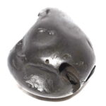 Matsya Shaligram