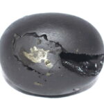 Laxmi Gopala Shaligram