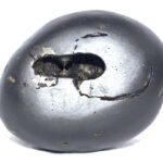 Damodar Shaligram