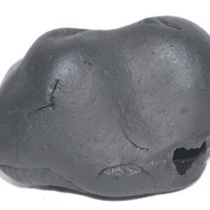 Pattabhi Rama Shaligram