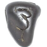 Aum Shaligram