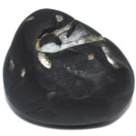 Pattabhi Rama Shaligram