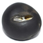 Madhusudhan Shaligram