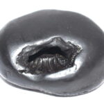 Shesha Shaligram