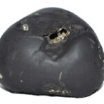 VanaRama Shaligram