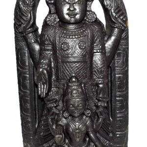 Tirupati Balaji Murti On Natural Shaligram