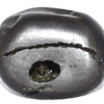 Rukmani Krishna Shaligram
