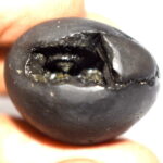 Soubhagya Varada Krishna Shaligram