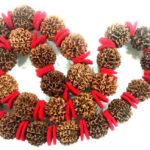 5 Mukhi Rudraksha Kantha - Rare Collector Size Java