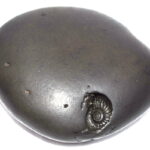 Vaikuntha Shaligram