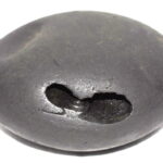 Chaturbhuja Shaligram