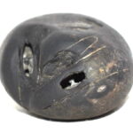 Govinda Shaligram / Rare Govinda Dashavtar Salagram