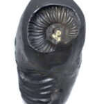 Rare Golden Sudarshan Adwaitya Acharya Harihara Shaligram 