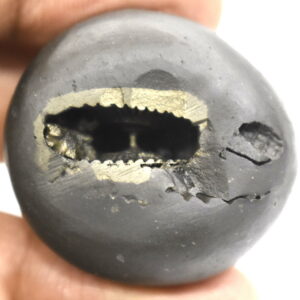 Laxmi Gopala Shaligram