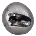 Kaliya Mardana Shaligram