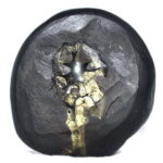 Adwaitya Golden Gadadhara Maha Vishnu Shaligram