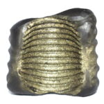 Sarvottam Golden Laxmi Hrishikesha Shaligram