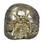 Sacred Adwaitya Golden Gaura Nitai Laxmi KalpaVriksha Shaligram