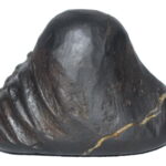 Sacred Adwaitya Janeyudhari Brahma Vishnu Mahesh Trinity Shaligram
