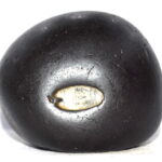 Sarvottam Ladoo Gopal Govind Narayan Shaligram