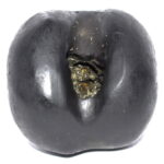 Adwaitya Golden Bhur Bhavas Gayatri Vaikuntha Shaligram