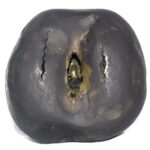 Adwaitya Golden Bhur Bhavas Gayatri Vaikuntha Shaligram