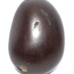 Sarvottam Giri Govardhan Shaligram