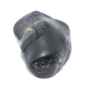 Varaha Shaligram