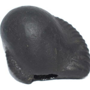 Ganesha Shaligram