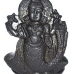 ShimShumara Idol on Natural Golden Sudarshan Shaligram