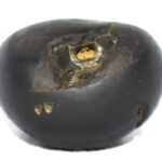 Devadeva Shaligram